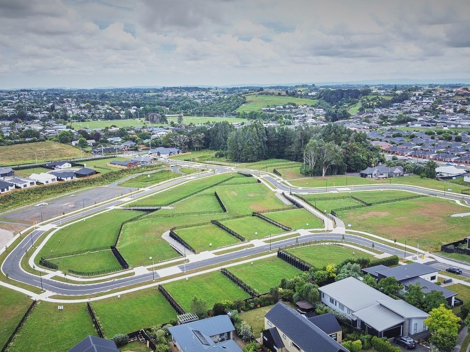 Reynolds Green Pukekohe