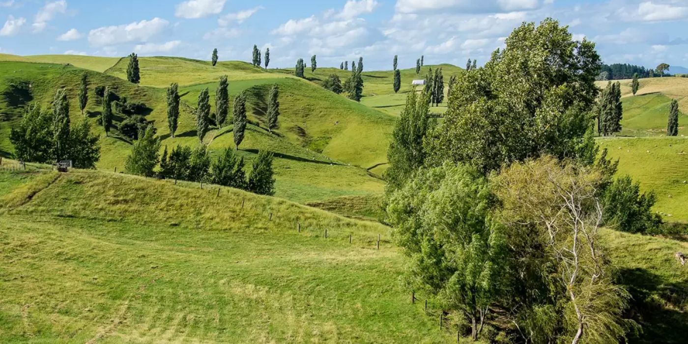 Waikato Landscape